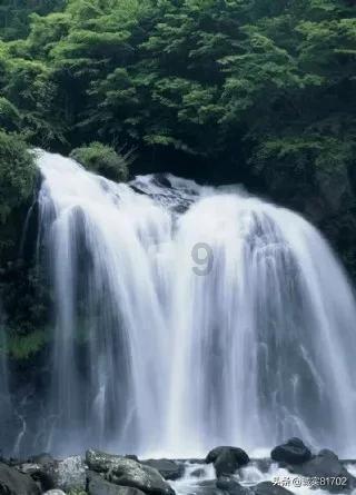 宫颈癌根治手术是什么，还会恢复吗